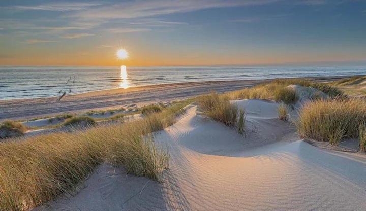 Bondi Beach Renesse Exteriér fotografie